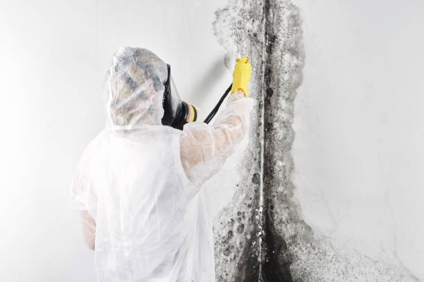 Best Carpet water damage restoration  in Plano, KY