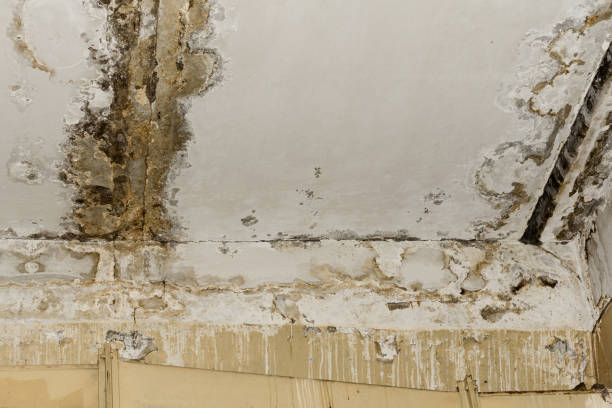 Best 24/7 water damage repair  in Plano, KY